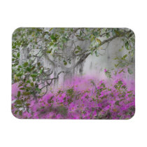 Digital Composite of Azaleas and magnolia tree Vinyl Magnet