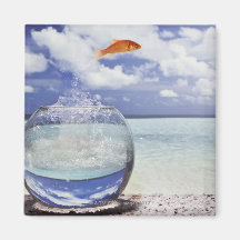 Digital composition fridge magnet