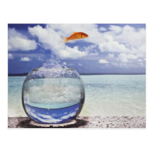 Digital composition post card