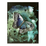 digital monarch butterfly painting post card