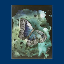 digital monarch butterfly painting post card postcards