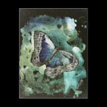 digital monarch butterfly painting post card postcards