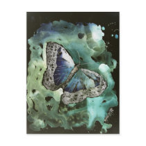 digital monarch butterfly painting post card postcards