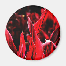 Digital Radial Colours Blur Glow Art Beautiful Des Magnet
