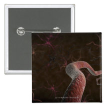 Digital rendering of neurons pins