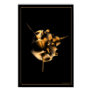space, gold, raytracing, bryce, sculpture,