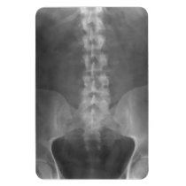 Digital X-Ray Art Premium Magnet