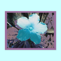 Digitally Manipulated Wildflower postcards