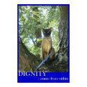 Dignity is Within You posters by catovations Dignity is Within You posters