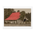 Dilapidated Red-Roofed Barn Postcard