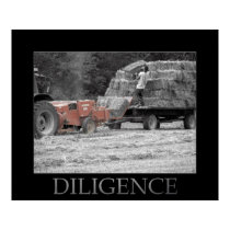 Diligence posters