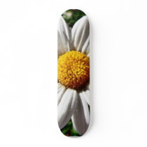 Dill Daisy White skateboards