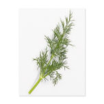 Dill Weed postcards