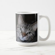 Dillan The Cat Mug