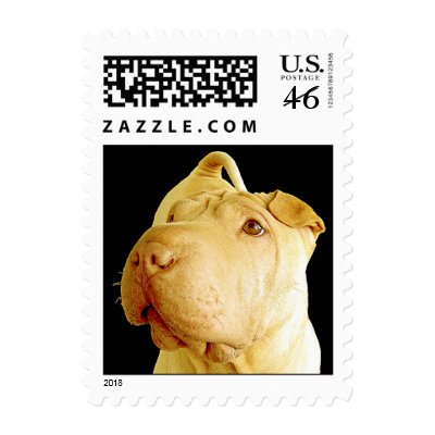 Dilute Chinese Shar Pei Puppy Dog Postage by beverlytazangel