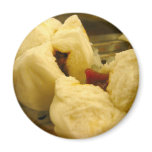 Dim Sum * Pork Buns magnets