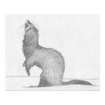 "Dimitri" Ferret Drawing Poster posters