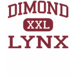 134977 832c38 ffb300, dimond, lynx, anchorage,