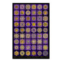 Dingbat Quilt Stellars Two  posters