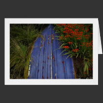 Dinghy cards