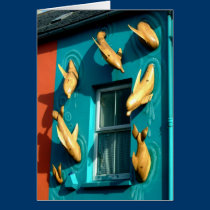 Dingle Dolphins on Souvenir Shop cards
