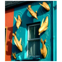 Dingle Kerry Dolphins T-shirt