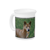 dingo_12x9 pitchers
