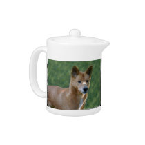 dingo_12x9 teapots