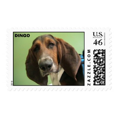 Dingo Basset Hound Postage