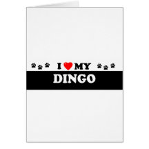 DINGO CARDS
