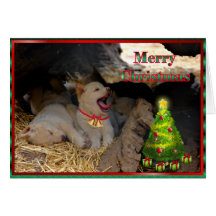 DINGO CHRISTMAS Xmas Australian Card