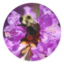 Dining Bumble Bee stickers