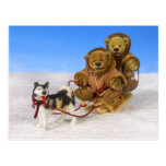 Dinky Bears on Dog Sled Post Card