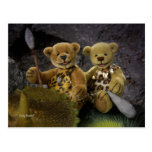 Dinky Bears: Stone Age Post Card