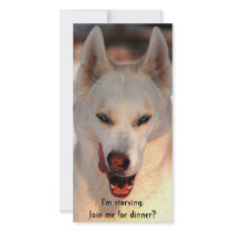Dinner invitation (humorous) custom photo card