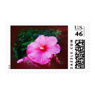 Dinner Plate Hibiscus stamp