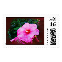 Dinner Plate Hibiscus postage by PixieDust11 Dinner Plate Hibiscus postage