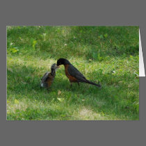 Dinner Time! cards