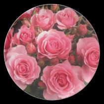 Dinning plantes. plates