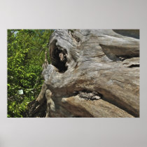 Dino Tree Print