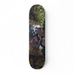 Dinobite Skate Board Decks