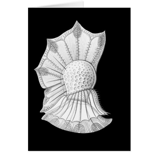 Dinoflagellate Greeting Card