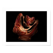 Dinosaur Bone Three posters