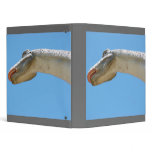 Dinosaur Brontosaurus binders