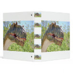 Dinosaur Brontosaurus binders