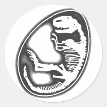 DINOSAUR EGG ROUND STICKER