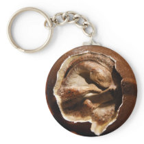 Dinosaur egg with embryo keychains