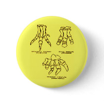 Dinosaur Foot Bones Pin