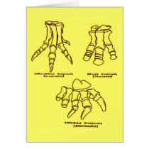 Dinosaur Foot Bones Cards
