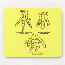Dinosaur Foot Bones Mouse Pads